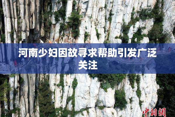 河南少妇因故寻求帮助引发广泛关注
