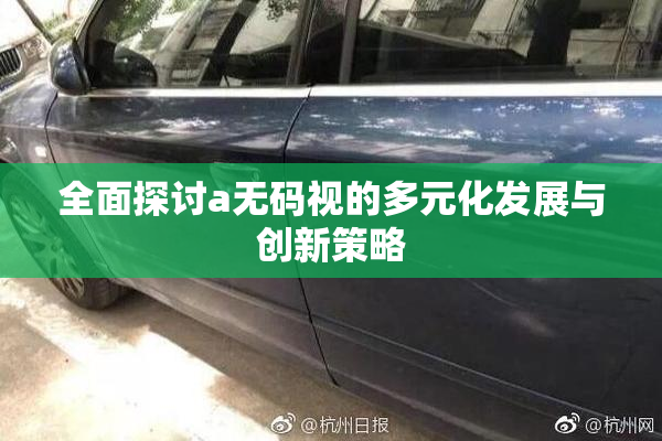 全面探讨a无码视的多元化发展与创新策略