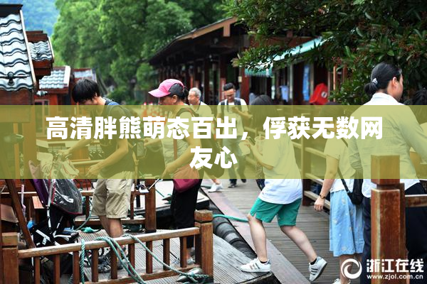 高清胖熊萌态百出，俘获无数网友心