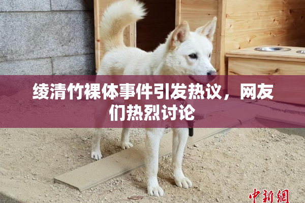 绫清竹裸体事件引发热议，网友们热烈讨论