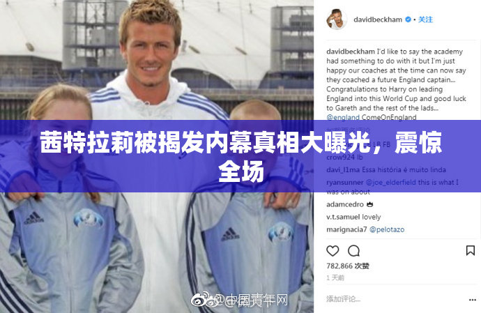 茜特拉莉被揭发内幕真相大曝光，震惊全场