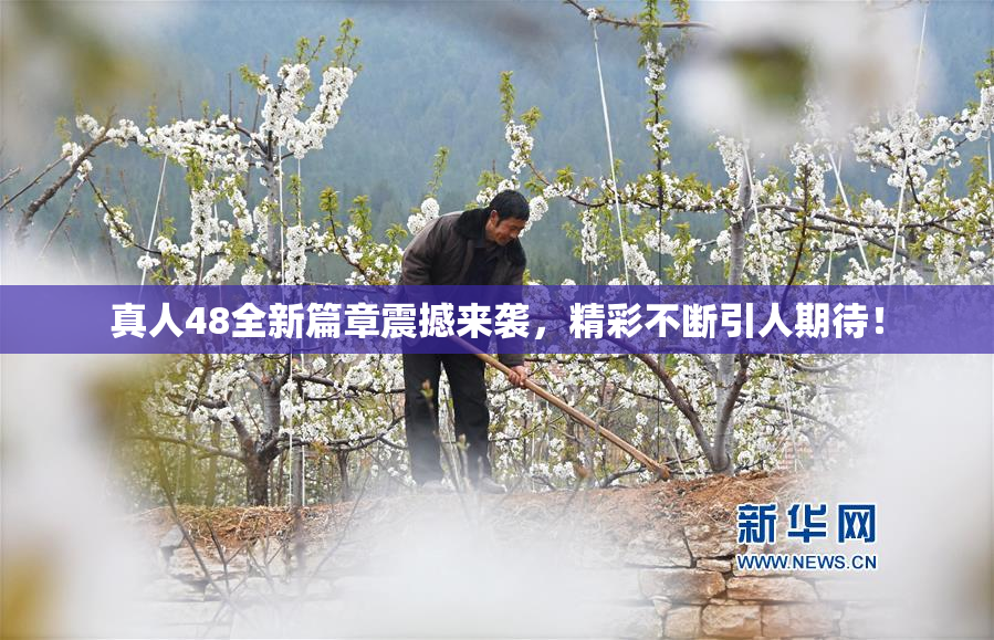 真人48全新篇章震撼来袭，精彩不断引人期待！