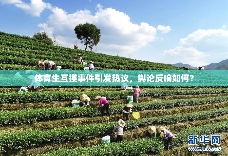 体育生互摸事件引发热议，舆论反响如何？