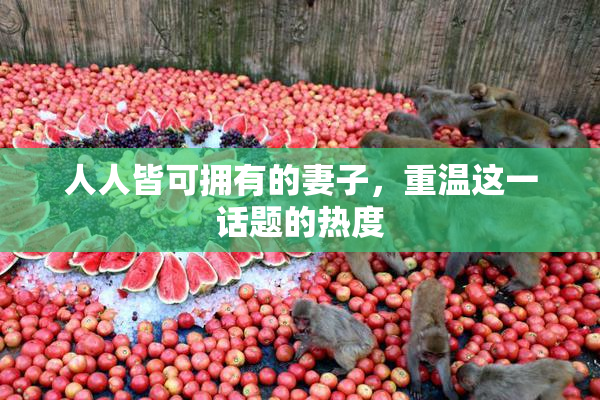 人人皆可拥有的妻子，重温这一话题的热度