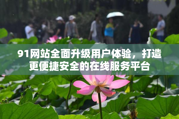 91网站全面升级用户体验，打造更便捷安全的在线服务平台