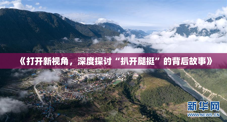 《打开新视角，深度探讨“扒开腿挺”的背后故事》