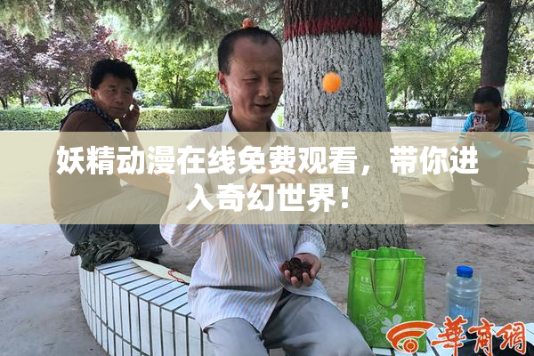 妖精动漫在线免费观看，带你进入奇幻世界！