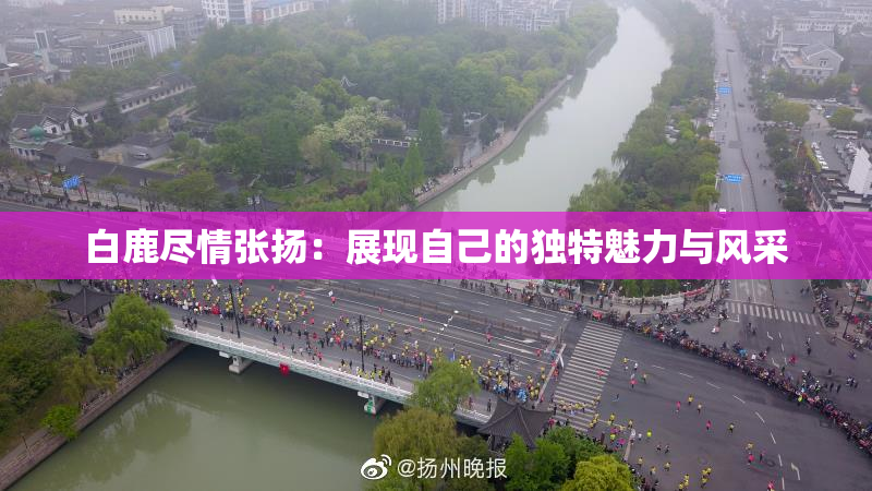 白鹿尽情张扬：展现自己的独特魅力与风采