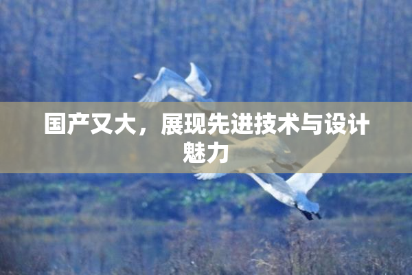国产又大，展现先进技术与设计魅力