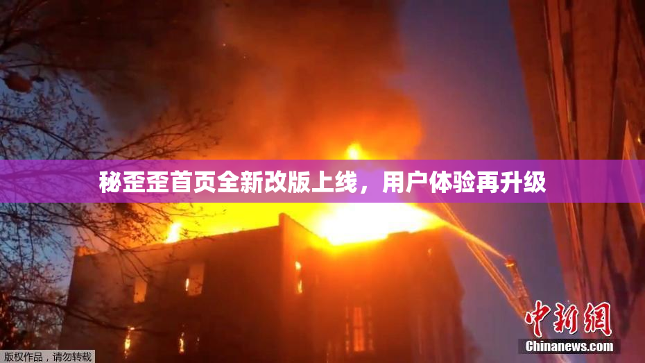 秘歪歪首页全新改版上线，用户体验再升级