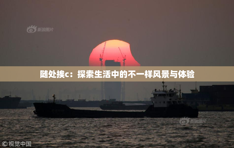 随处挨c：探索生活中的不一样风景与体验
