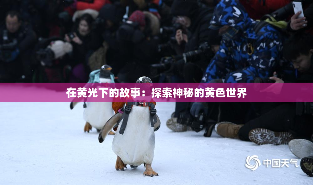 在黄光下的故事：探索神秘的黄色世界