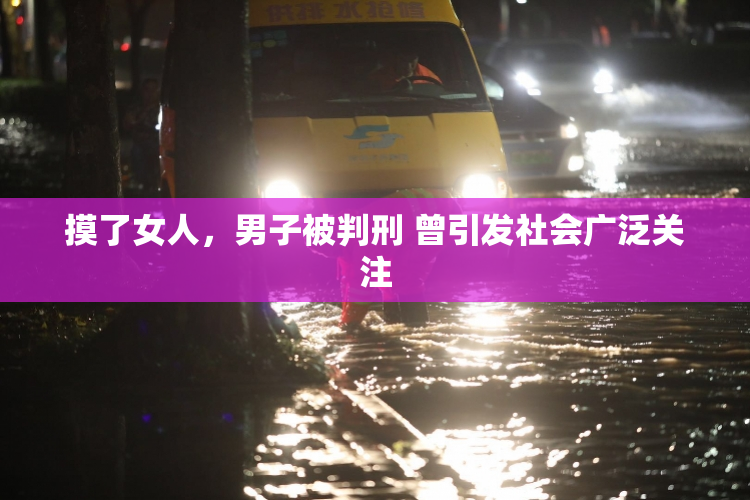 摸了女人，男子被判刑 曾引发社会广泛关注