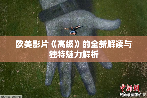 欧美影片《高级》的全新解读与独特魅力解析