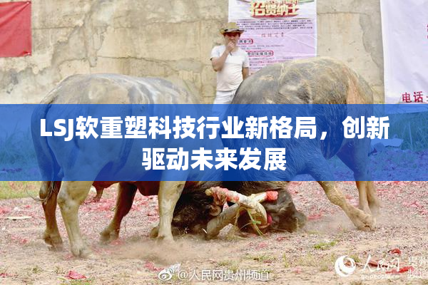 LSJ软重塑科技行业新格局，创新驱动未来发展