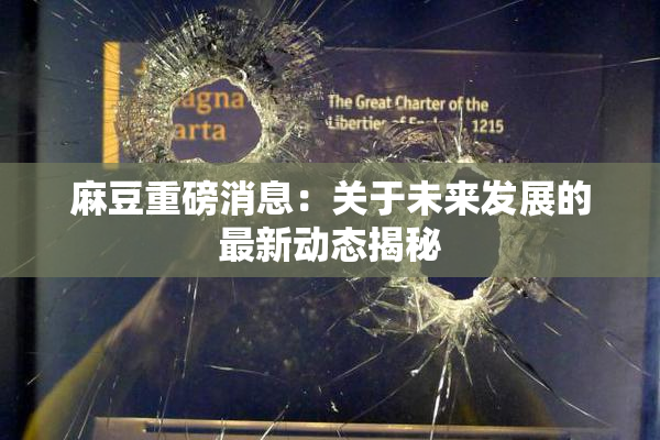 麻豆重磅消息：关于未来发展的最新动态揭秘