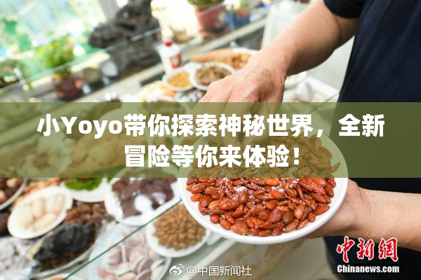 小Yoyo带你探索神秘世界，全新冒险等你来体验！
