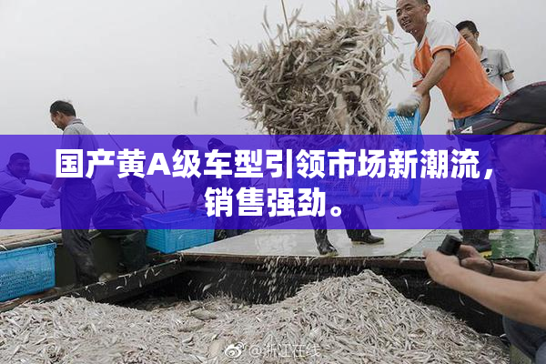 国产黄A级车型引领市场新潮流，销售强劲。