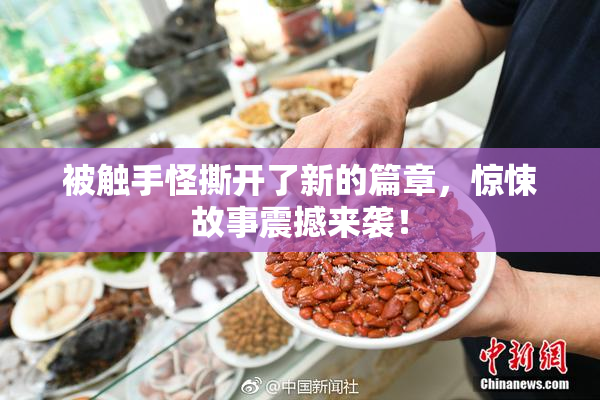 被触手怪撕开了新的篇章，惊悚故事震撼来袭！