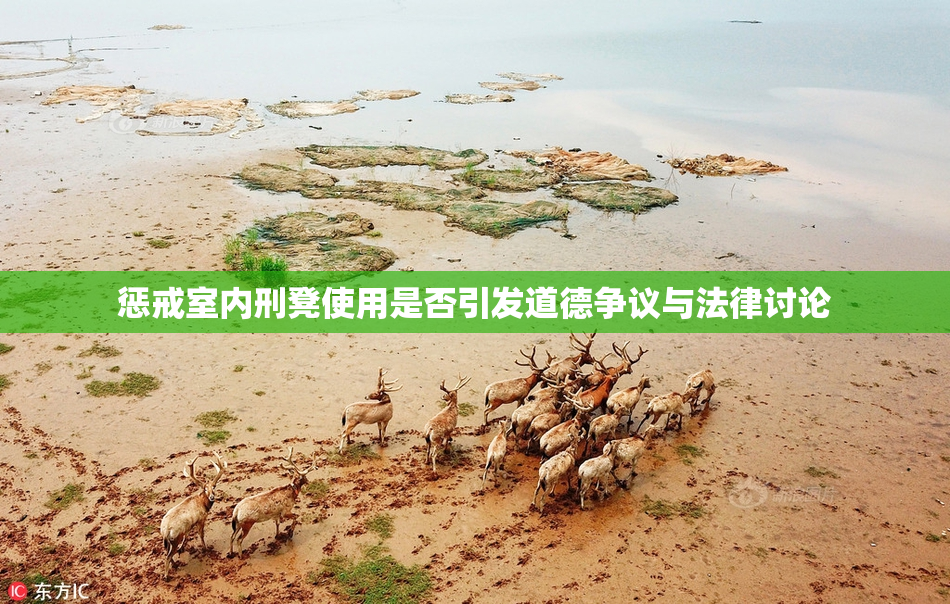 惩戒室内刑凳使用是否引发道德争议与法律讨论