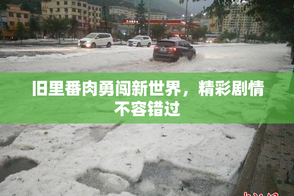 旧里番肉勇闯新世界，精彩剧情不容错过