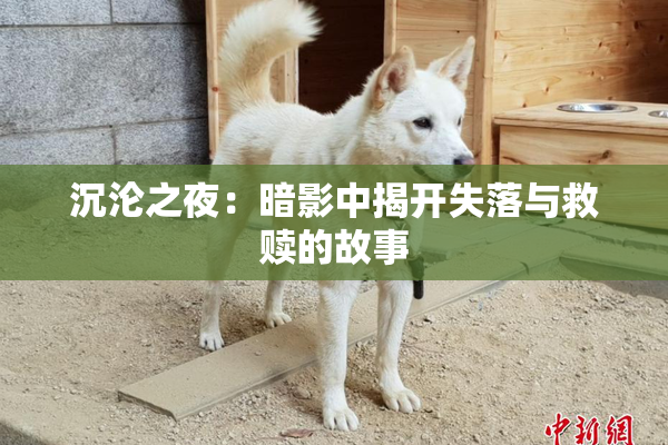 沉沦之夜：暗影中揭开失落与救赎的故事