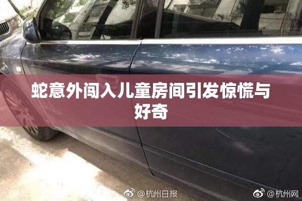 蛇意外闯入儿童房间引发惊慌与好奇