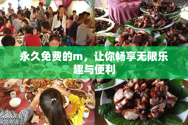 永久免费的m，让你畅享无限乐趣与便利