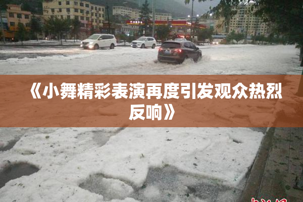 《小舞精彩表演再度引发观众热烈反响》