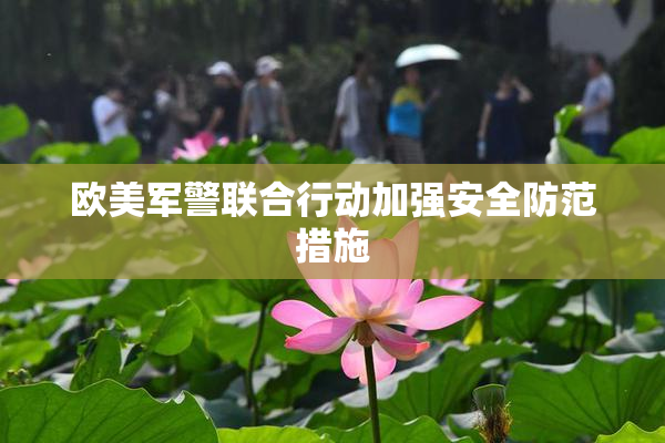 欧美军警联合行动加强安全防范措施