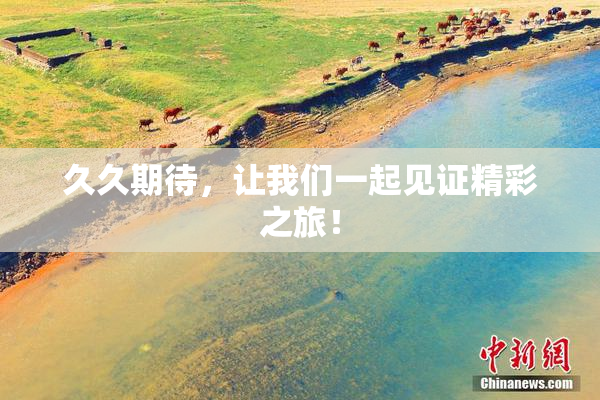 久久期待，让我们一起见证精彩之旅！