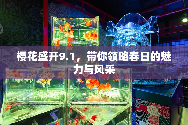 樱花盛开9.1，带你领略春日的魅力与风采