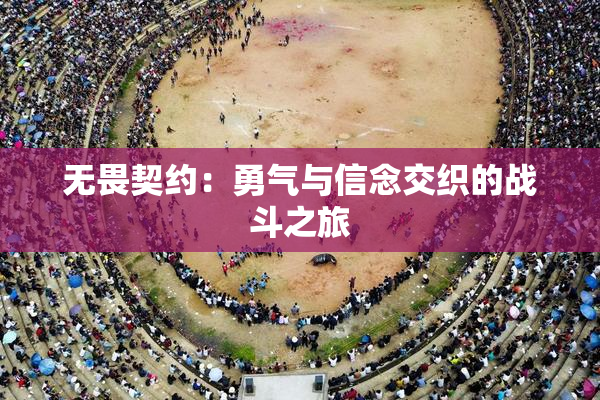 无畏契约：勇气与信念交织的战斗之旅