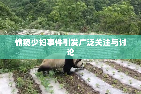偷窥少妇事件引发广泛关注与讨论