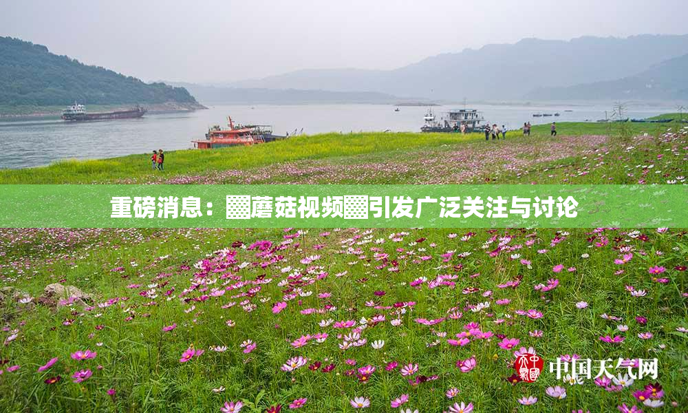 重磅消息：▓蘑菇视频▓引发广泛关注与讨论