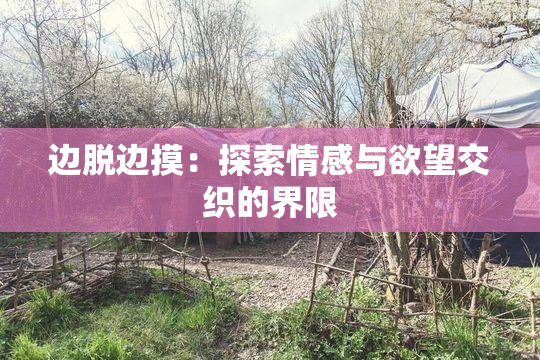 边脱边摸：探索情感与欲望交织的界限