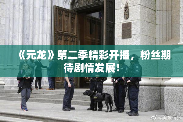 《元龙》第二季精彩开播，粉丝期待剧情发展！