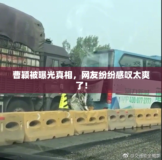 曹颖被曝光真相，网友纷纷感叹太爽了！