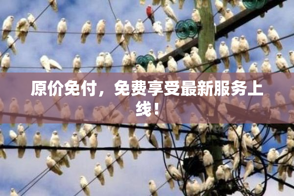 原价免付，免费享受最新服务上线！
