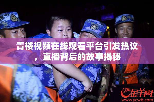 青楼视频在线观看平台引发热议，直播背后的故事揭秘