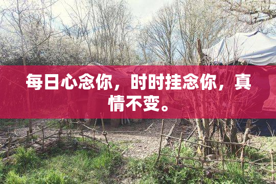 每日心念你，时时挂念你，真情不变。