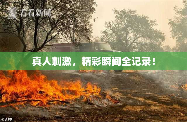 真人刺激，精彩瞬间全记录！