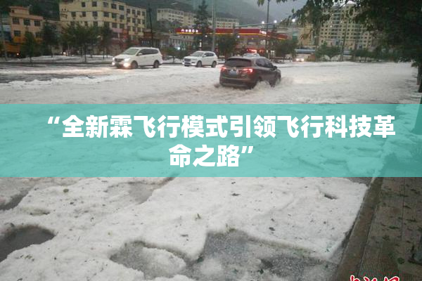 “全新霖飞行模式引领飞行科技革命之路”