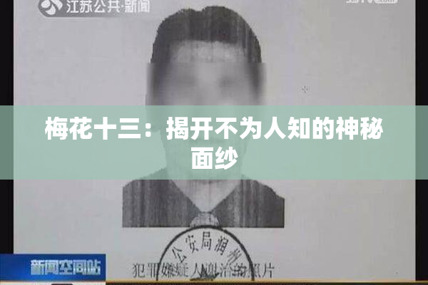 梅花十三：揭开不为人知的神秘面纱