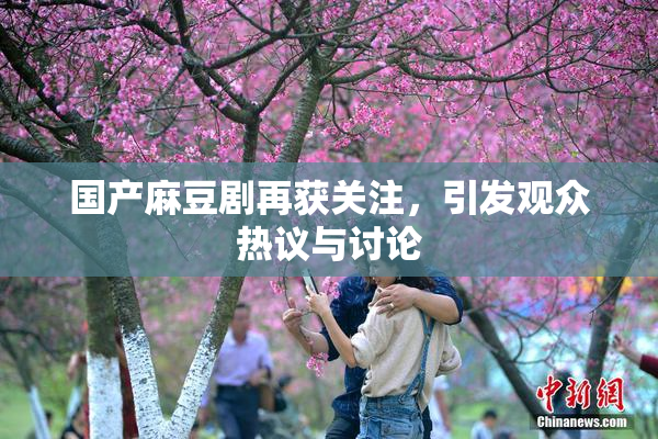 国产麻豆剧再获关注，引发观众热议与讨论