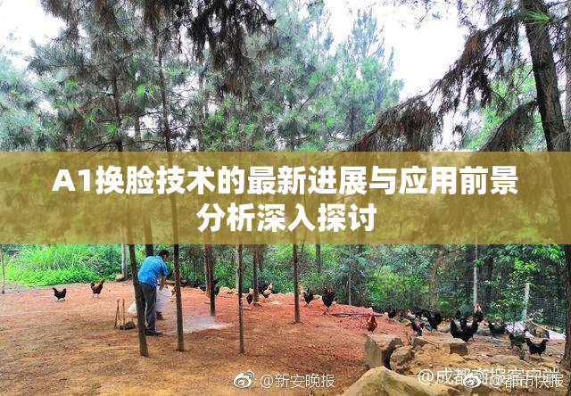 A1换脸技术的最新进展与应用前景分析深入探讨
