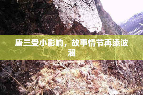 唐三受小影响，故事情节再添波澜