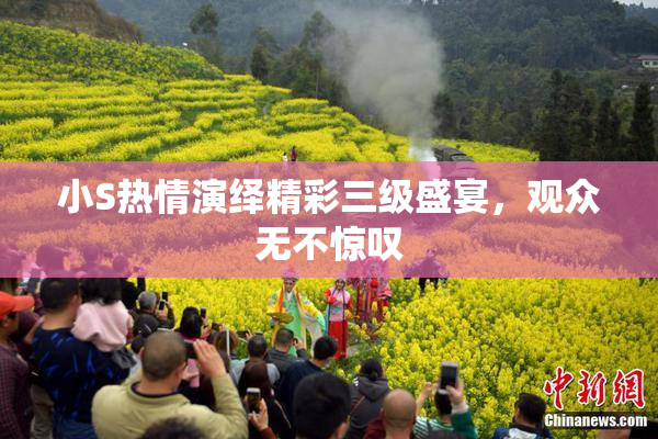小S热情演绎精彩三级盛宴，观众无不惊叹