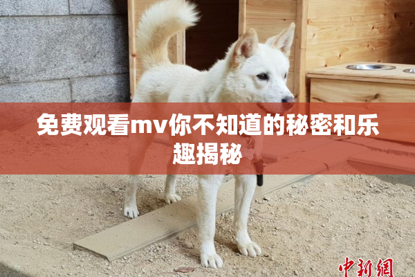 免费观看mv你不知道的秘密和乐趣揭秘