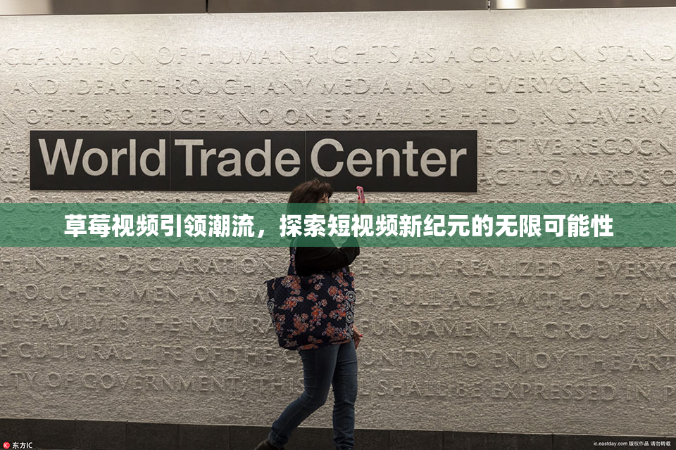草莓视频引领潮流，探索短视频新纪元的无限可能性